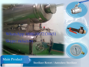 Stainless Steel Autoclave Sterilizer with Papless Recordor